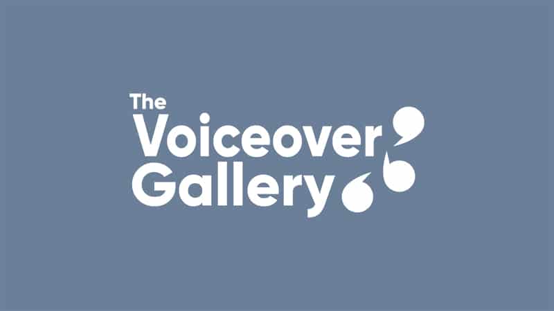 The Voiceover Gallery SEO Case Study Image
